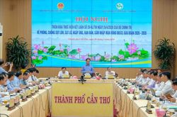 ĐBSCL triển khai 8 dự án hơn 32.000 tỷ đồng ứng phó sụt lún, sạt lở và hạn mặn
