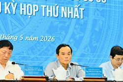Bí thư Thành ủy TPHCM Trần Lưu Quang cùng các đại biểu Quốc hội tiếp xúc cử tri