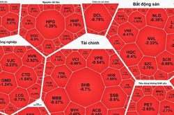 Ngày 11-5: VN-Index giảm mạnh sau khi lập đỉnh
