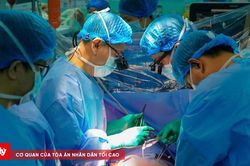 Trái tim vượt hơn 1.700 km cứu sống bệnh nhân 23 tuổi