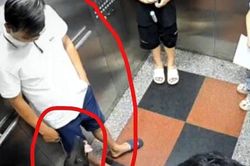Nhắc đeo rọ mõm cho chó, thành viên ban quản trị chung cư ở Hà Nội bị hành hung