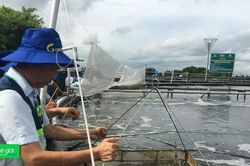 Đại học Cần Thơ dẫn dắt kiểm soát dịch bệnh tôm bằng khoa học công nghệ và thực tiễn