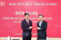 Ông Hà Minh Hải giữ chức Phó Trưởng Ban Tổ chức Trung ương