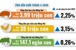 [Infographic] Con số và sự kiện ngày 11-5-2026