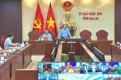 Chủ tịch UBND tỉnh Phạm Anh Tuấn làm việc với các doanh nghiệp có dự án chuyển đổi diện tích cao su