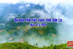 Dự b&aacute;o thời tiết to&agrave;n tỉnh Sơn La ng&agrave;y 12/5/2026