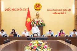 Cần đánh giá thực chất việc giải quyết kiến nghị của cử tri và Nhân dân
