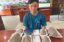 Xóa sổ đường dây mua bán 'cỏ Tobaco' qua Facebook 'Cô bé xe ôm'