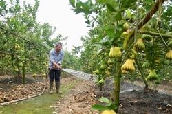 Hà Nội: Từ ngày 18-5, cấp xã được cấp phép xây dựng công trình trên đất nông nghiệp