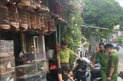 Cảnh báo nạn săn bắt chim để nuôi làm cảnh có thể bị xử phạt nặng