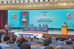 Ph&aacute;t huy tinh hoa y học cổ truyền trong chăm s&oacute;c sức khỏe chủ động