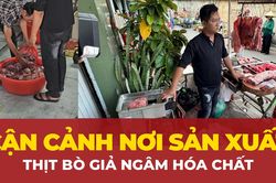Công an TP.HCM khởi tố hai đối tượng 'phù phép' heo nái thành thịt bò