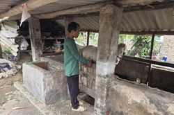 Truy bắt thành công đối tượng trộm ngựa bạch