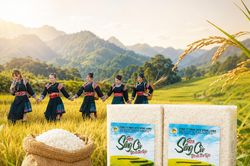 Khám phá hương vị núi rừng Lai Châu giữa lòng Hà Nội