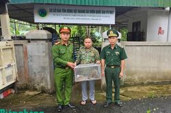 Vận động người dân giao nộp cá thể tê tê quý hiếm để thả về môi trường tự nhiên
