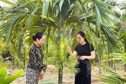 Thủ khoa đại học bỏ phố về quê nuôi 1.500 con gà, phát triển đầm tôm 6.000m²
