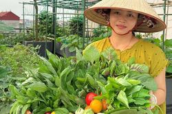 Chi 30 triệu làm vườn sân thượng, mẹ đảm Bắc Ninh tha hồ thu rau trái quanh năm