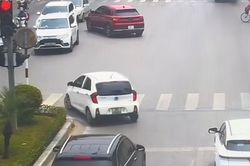 CSGT làm rõ tranh cãi 'báo lỗi sai' với ô tô quay đầu tại vạch đi bộ sang đường