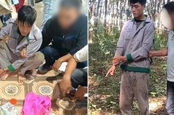 Thanh niên đục két sắt trộm hơn nửa tỷ, từng 'cuỗm' tiền mừng cưới của hàng xóm