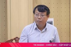 Rà soát, hoàn thiện các nghị quyết quan trọng trình kỳ họp HĐND tỉnh