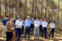 Gia Lai tăng tốc mở không gian phát triển mới khu vực phía Tây