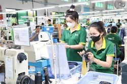 Vĩnh Long xuất khẩu cán mốc 1,23 tỷ USD dù thị trường biến động
