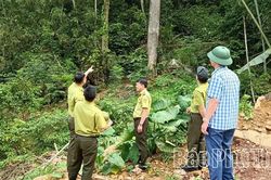 Kiểm tra công tác phòng cháy và chữa cháy rừng xã Cao Sơn