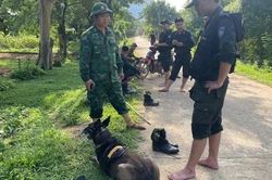 Truy t&igrave;m hung thủ nghi giết vợ cũ rồi bỏ trốn