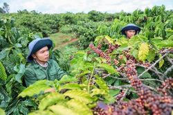 Thước đo của sự văn minh và lòng tự trọng