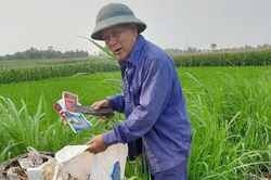 Người cựu chiến binh giữ sạch ruộng đồng, giữ nếp làng