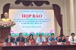 Ch&iacute;nh s&aacute;ch thuế nhận được phản hồi t&iacute;ch cực của hộ kinh doanh v&agrave; doanh nghiệp