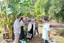 Thêm 1 ca tử vong do bệnh dại, ngành y tế khuyến cáo người dân không chủ quan