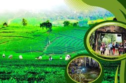 Kỳ 1: Phát triển chưa tương xứng tiềm năng