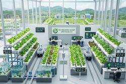TP.HCM: 88 mô hình thúc đẩy kinh tế xanh năm 2026