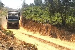 TP Huế: Làm rõ việc chưa được phê duyệt nhưng vẫn khai thác gỗ trên đất rừng