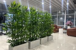 5 giải pháp tạo sự riêng tư cho nhà mở