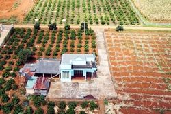 Thủ tục chuyển đất trồng cây lâu năm sang đất ở theo quy định mới