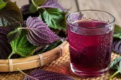 5 lợi ích khi uống nước lá tía tô mỗi sáng trong 30 ngày