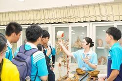 Đào tạo Y khoa: Hệ lụy từ những 'điểm gãy' kiến thức nền tảng