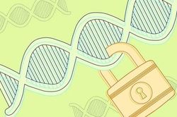 Những bí mật không thể xóa trong dữ liệu ADN