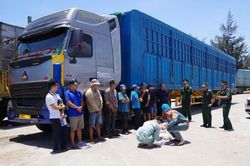 'Bác tài' tụ tập làm… bác thằng bần