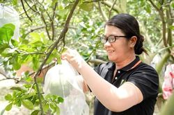 Công bố Nghị định thư về kiểm dịch bưởi, chanh xuất khẩu sang Trung Quốc