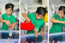 Bà lão khiến khách xếp hàng dài 50m, có ngày bán 1.000 cốc cà phê giờ ra sao?