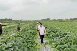 Lào Cai tăng tốc xóa lõm sóng, giảm nghèo thông tin vùng cao