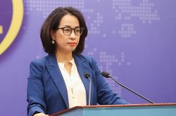 Xác minh thông tin người Việt Nam bị bắt tại Campuchia, Indonesia