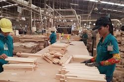 Thuế VAT 'mỗi nơi một kiểu', doanh nghiệp gỗ lo đứt nguồn cung gỗ rừng trồng