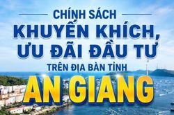 [Infographic] Chính sách khuyến khích, ưu đãi đầu tư trên địa bàn tỉnh An Giang