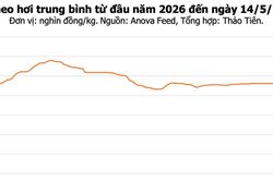 Giá heo hơi hôm nay 14/5: Thị trường đi ngang, Đồng Nai neo ở mức 71.000 đồng/kg