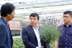 B&iacute; thư Tỉnh ủy L&acirc;m Đồng Y Thanh H&agrave; Ni&ecirc; Kđăm thăm, l&agrave;m việc tại C&ocirc;ng ty TNHH Dalat Hasfarm