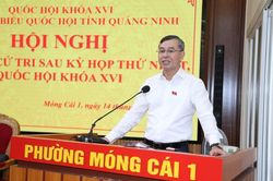 Xây dựng chính sách thu hút 'đại bàng' cho các đặc khu